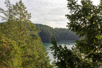 ocean inlet through forest cliffs with clouds above