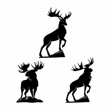 Black moose silhouette with several poses