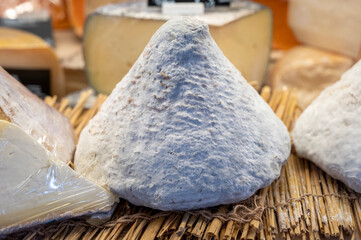 French cheese cone shaped port aubry on market