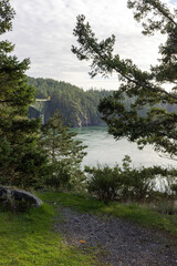 ocean inlet through pine trees on cliffs with gravel path