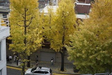 관광도시 한옥마을과 삼청동 문화거리 가을 풍경