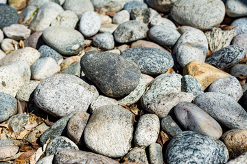 Multicolored pebbles on a beach, smooth, patterned, textured and abstract. Close-up background.