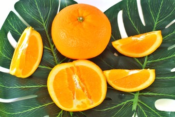 Orange on a green monstera leaf on a white background.