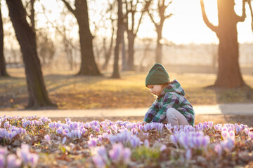 child in spring park with crocuses  - obrazy, fototapety, plakaty