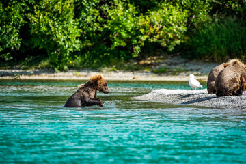 Fototapeta premium mother and child