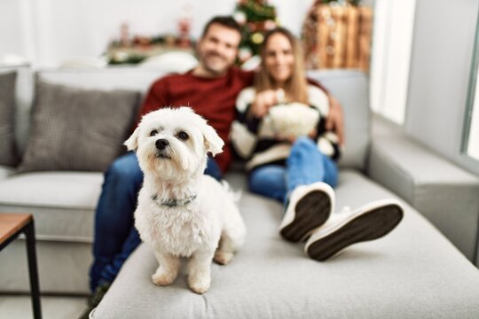 Young hispanic couple smiling happy watching movie sitting on the sofa with dog at home.