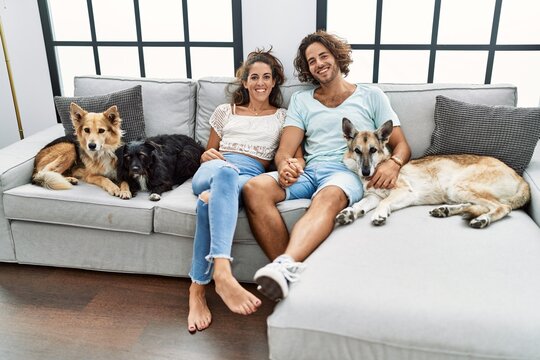 Man and woman couple smiling confident sitting on sofa with dogs at home