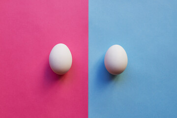 We have a boy and a girl. Studio shot of two eggs placed on two different colored backgrounds next to each other.