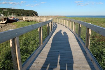 Obraz premium wooden bridge over the river