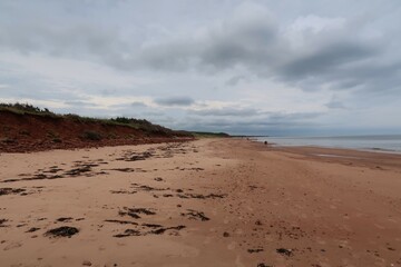 beach and sea