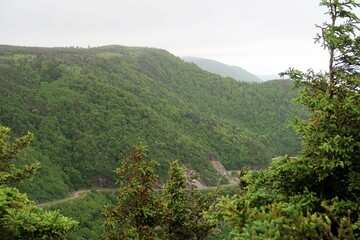 landscape with trees