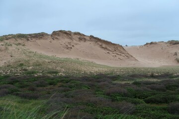 landscape with sky