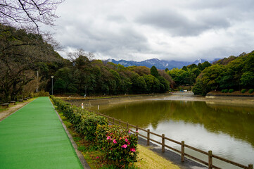 Fototapeta premium 滝の宮公園
