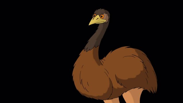 Brown ostrich screaming indignantly 4K alpha matte