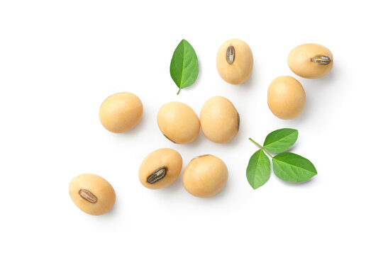 Flat lay of Soybeans with leaves isolated on white background.