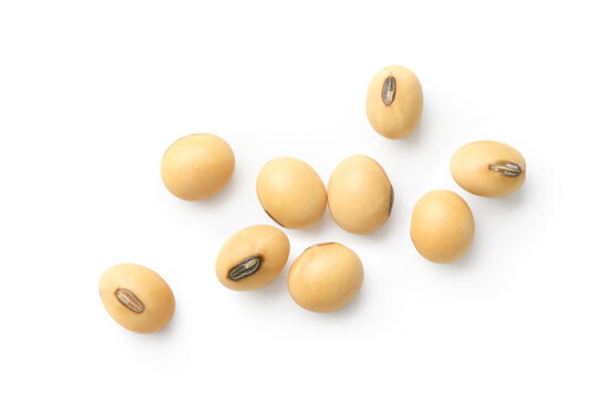 Flat lay of Soybeans  isolated on white background.