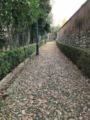 [Spain] Road with Fallen Leaves leading to the entrance to the Alhambra (Granada)