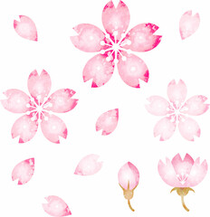 Plakat 春　さくら　桜　サクラ　花　水彩　アナログタッチ　かわいい　おしゃれ　イラスト素材セット