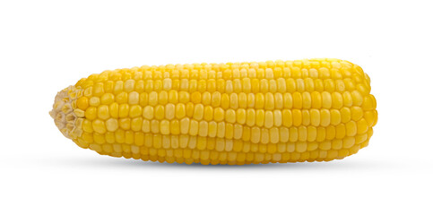 Sweet corn isolated on a white background