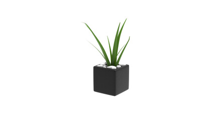 SPIDER plant without shadow 3d render