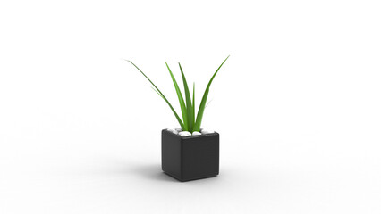 SPIDER plant with shadow 3d render