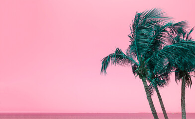 Green coconut palm trees on summer colorful pink sky with copy space. Beautiful tropical seascape...