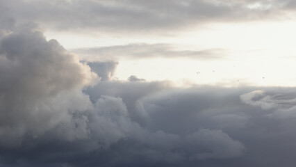 Slow motion birds flying in front of cloudscape with sunset light