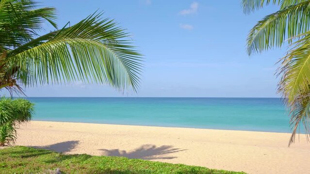 Beautiful coconut palm trees on the beach Phuket Thailand. Amazing sea beach Islands Palms leafs Palms grove over sea with beautiful summer clear blue sky Summer landscape amazing background