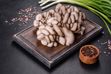 Oyster mushroom or Pleurotus ostreatus as easily cultivated mushroom