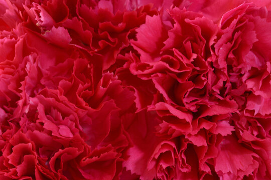 Scheide Bilder Durchsuchen 817,446 Archivfotos, und