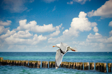Ostseebad Kühlungsborn, Deutschland, Mecklenburg-Vorpommern