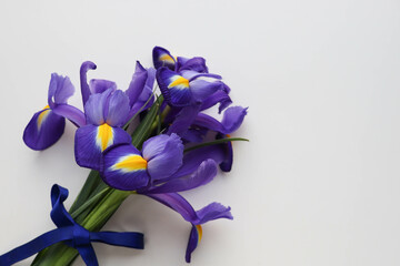 spring flowers. bouquet of lilac irises on a white background and space for text © Palanga
