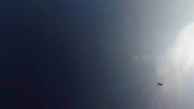skydiving, free fall, a man in the clouds, parachutists jump out of an airplane