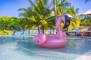 Luxury resort swimming pool with floating swan with blue sky and palm trees. Chairs, beds under...