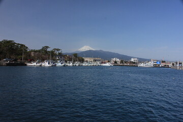 沼津港と富士山。