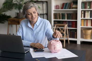 Happy middle-aged woman put coin into piggybank, save money for future, make investment. Provident...