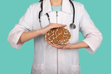 Female doctor with a stethoscope is holding mockup brains. Help and care concept
