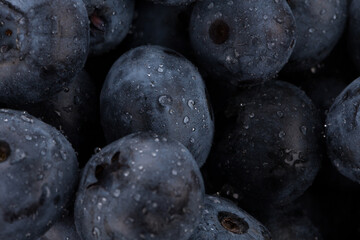 blueberries with water drops close up