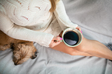 Neat female legs and coffee in a cup. Mongrel dog. Pale complexion.