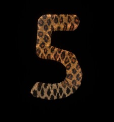 Leopard Themed Font Number 5