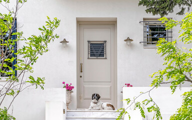 A cute enormous dog guarding his family house entrance door, Athens, Greece