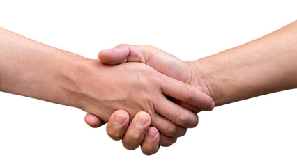 Two men shaking hands on white background