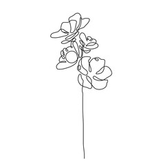 Flower Line Drawing. Botanical Art of Flower One Line Drawing for Minimalist Wall Decor, Floral Wall Art, Prints. Vector Digital Art