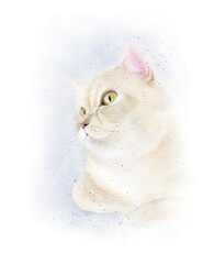 Cat.Painted in watercolor. Design of albums, children's books, postcards, posters, packages.