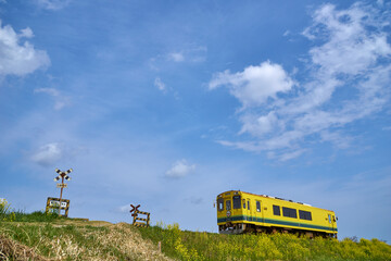 第二五之町踏切と青空を走る菜の花列車　いすみ鉄道