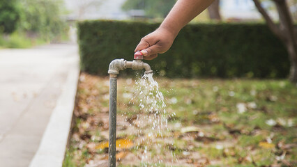 Turn off the water tap in the lawn.
