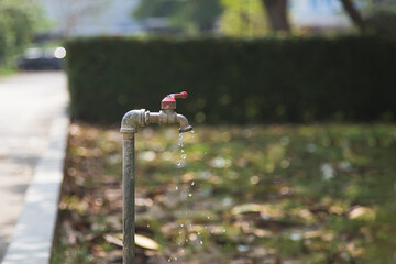 Turn off the water tap in the lawn.
