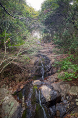 Naklejka na ściany i meble 日本の岡山県の山の中で見つけた滝