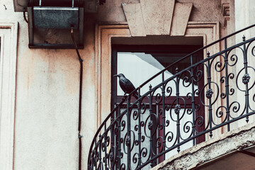 Metal bird on the balcony in Odessa vintage old building