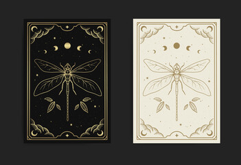 Mystical dragonfly with moon phase - obrazy, fototapety, plakaty